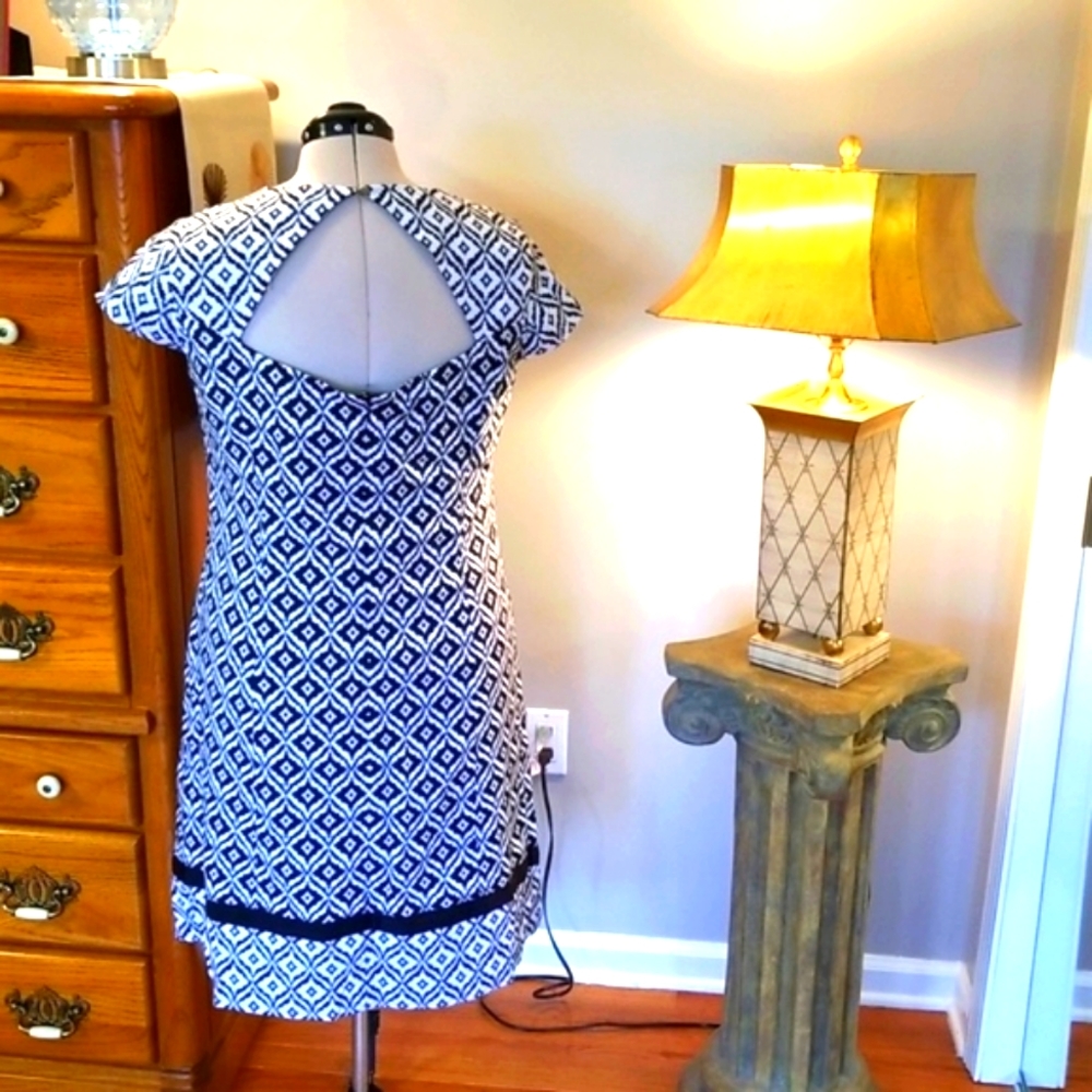 JONES NEW YORK NWOT Dress Fully Lined and never worn.